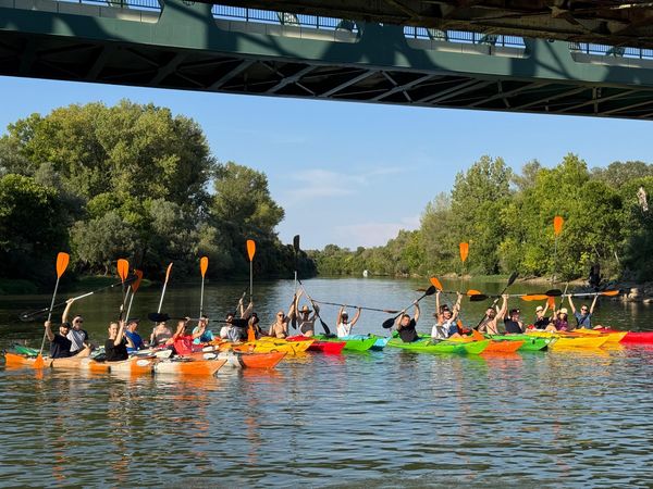 Članovi našeg kluba podržali su akciju Zaveslaj našeg Rotarakt kluba,,Mihajlo…