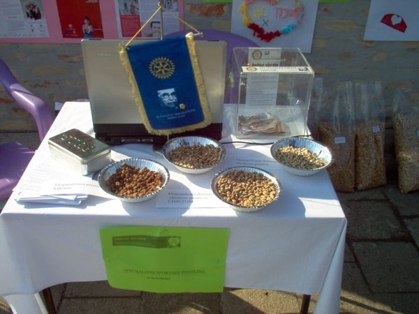 Akcija RC „Pančevo Mihajlo Pupin„ na jezeru u Kačarevu 2009. godine